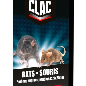 Clac Pièges Englués Rats Et Souris grand format x2