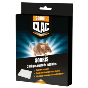 Clac Pièges Englués Jetables Souris Petit Format x2
